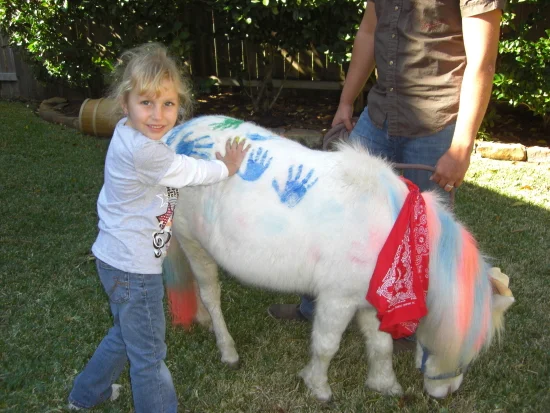A child decorating a pony with colorful handprints